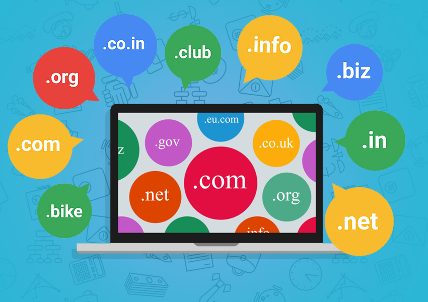 Domain Name Registration Services